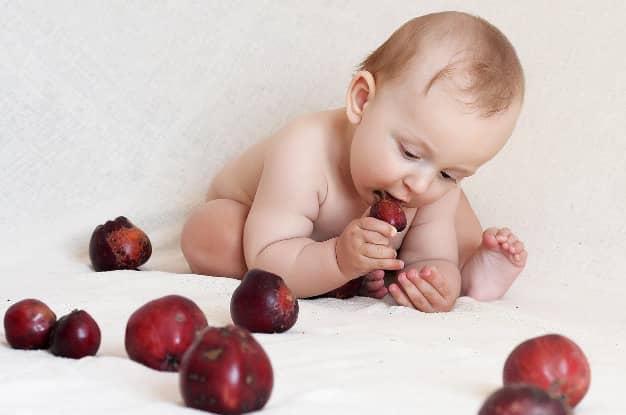 alimento correcto en la infancia 